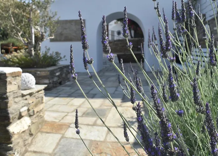 Ursa Major Hotel Tínos